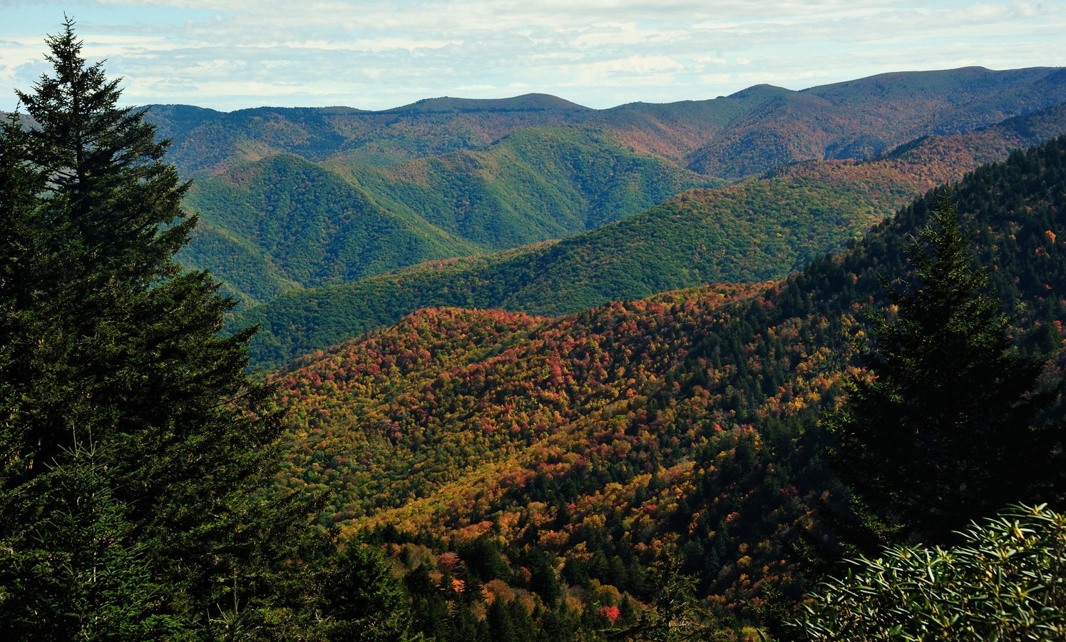 Blue Ridge Parkway [62 mm, 1/125 Sek. bei f / 10, ISO 400]